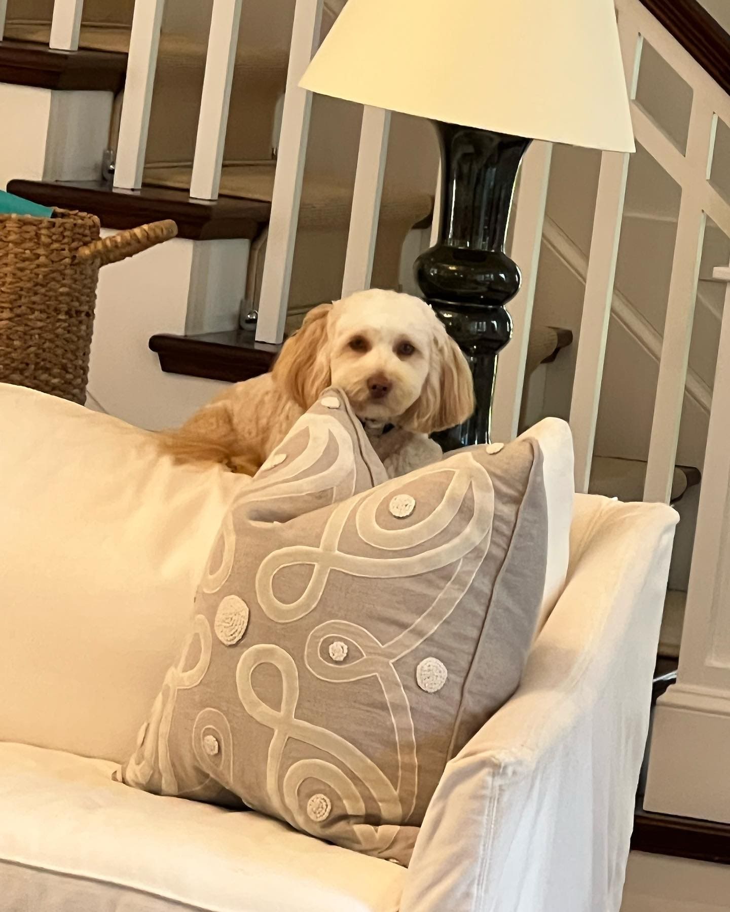 placeholder image-sq